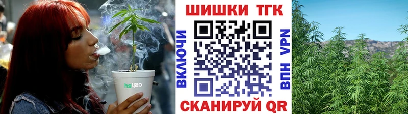 Как найти наркотики Кедровый МАРИХУАНА  Cocaine  APVP  Меф  Гашиш 