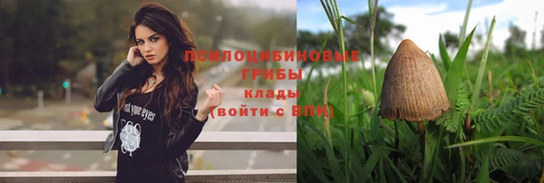 трава Верея