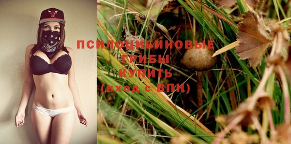 PSILOCYBIN Волоколамск