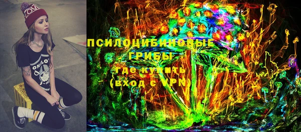 а пвп мука Бородино