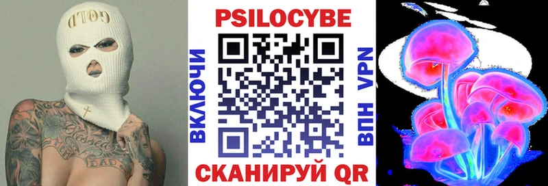 Псилоцибиновые грибы Psilocybe  блэк спрут сайт  Кедровый 